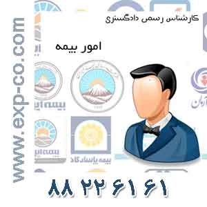 کارشناس رسمی دادگستری رشته امور بیمه