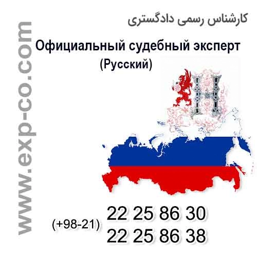 Официальный эксперт справедливость, справедливость экспертов, официальным экспертом, Официальный судебным экспертом, чиновник министерства юстиции эксперт, судья, эксперт, официальный, гражданское строительство, геодезия