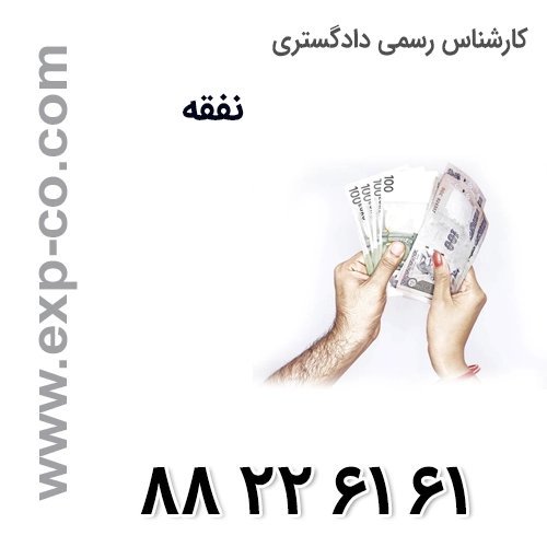 کارشناس رسمی دادگستری نفقه