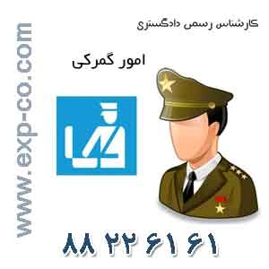 کارشناس رسمی دادگستری رشته امور گمرکی