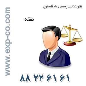 کارشناس رسمی دادگستری رشته نفقه