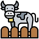 کارشناس رسمی دادگستری محصولات دامی